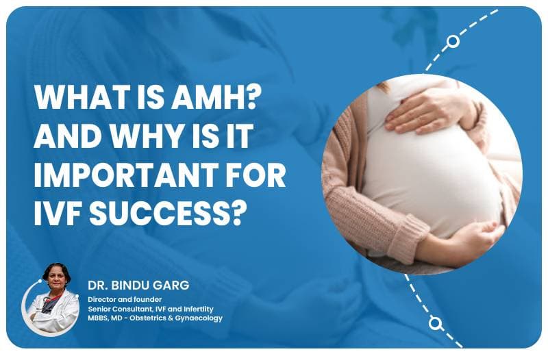 AMH-Anti-Müllerian Hormone