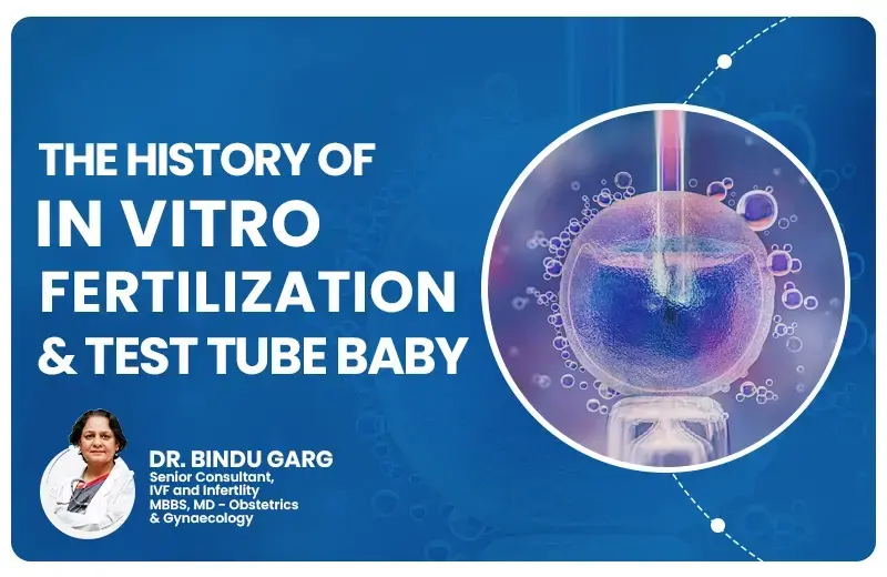 The History Of In Vitro Fertilization And Test Tube Baby