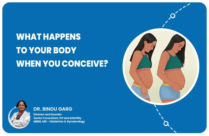 What Happens to Your Body When You Conceive?